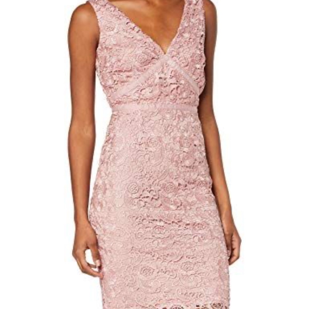 Chic Lace Midi Dress in Soft Pink